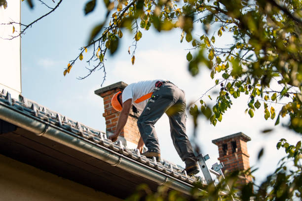 Best Roof Gutter Cleaning  in Pilot Mountain, NC
